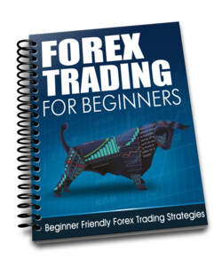 Beginners Guide to FOREX Trading