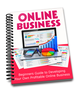 Beginners Guide to Starting a Profitable Online Business